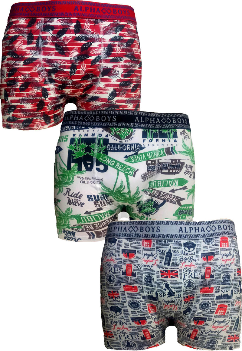 Kit 10 Cuecas Boxer - Lojas Onlishop