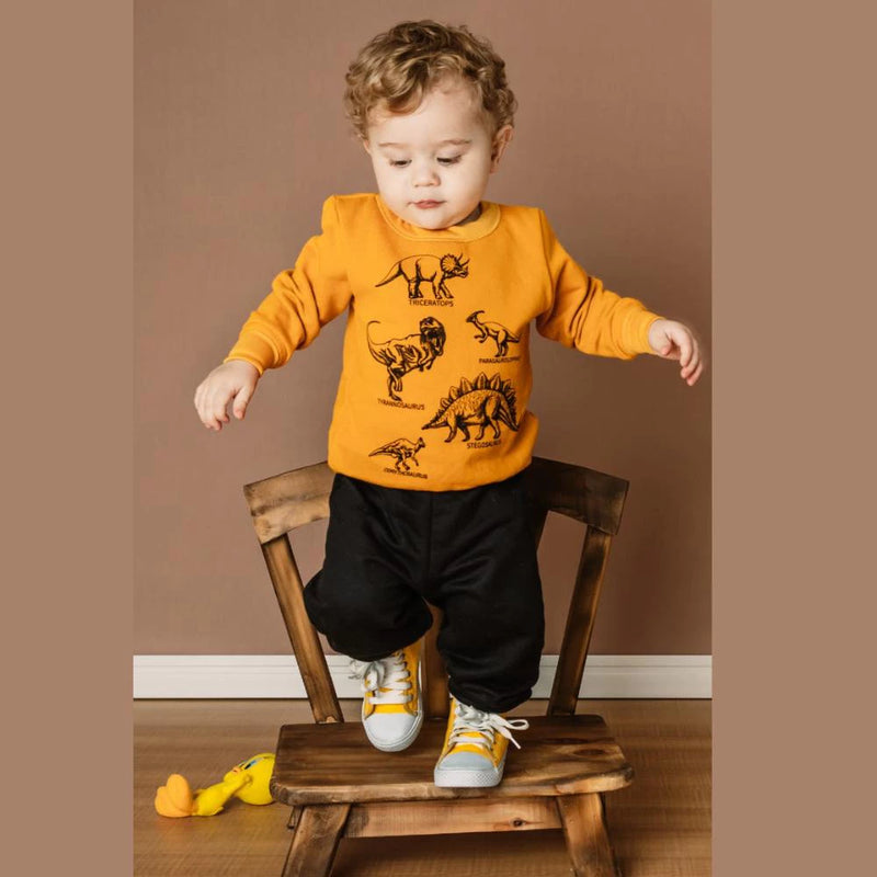 Conjunto Moletom Infanti Masculino 4 Peças